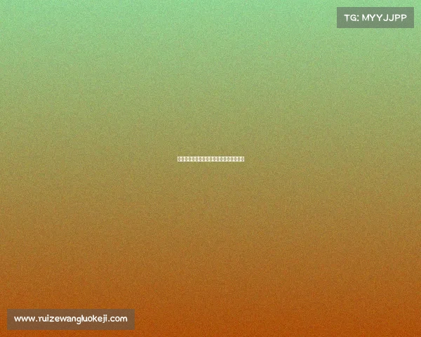 塞内加尔球队赛事、塞内加尔队最新大名单