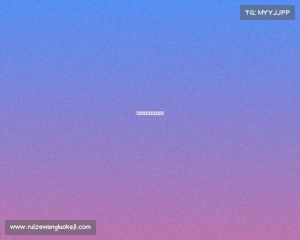 赛事流程、赛事流程方案